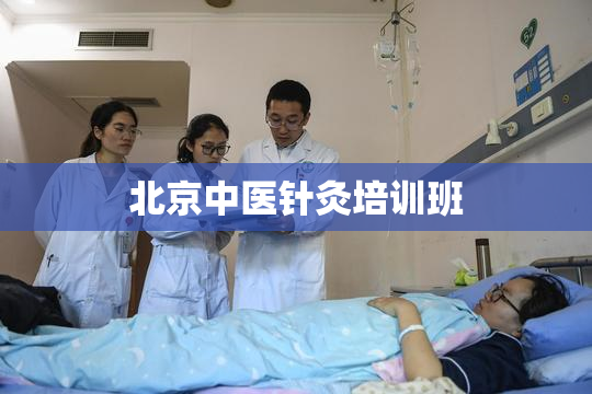 北京中医针灸培训班