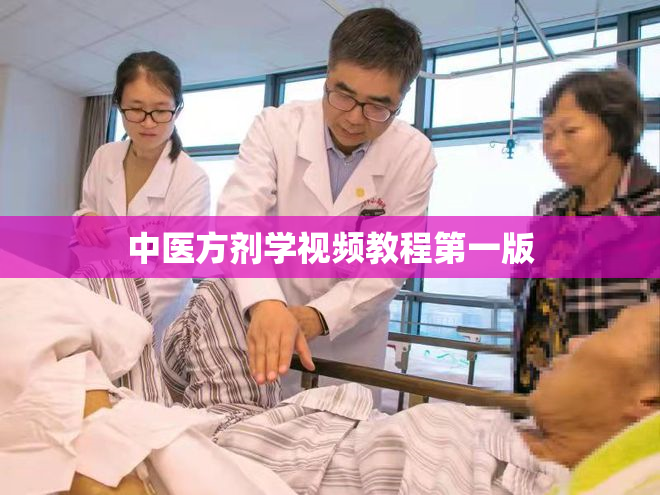 中医方剂学视频教程第一版